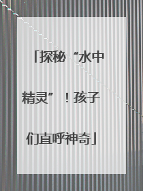 探秘“水中精灵”！孩子们直呼神奇