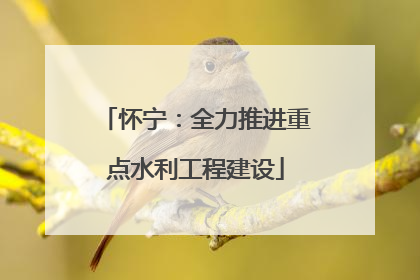 怀宁：全力推进重点水利工程建设