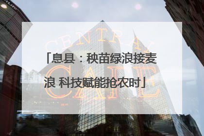 息县：秧苗绿浪接麦浪 科技赋能抢农时