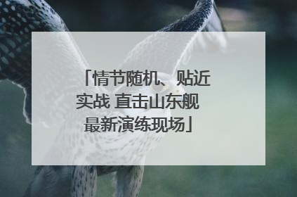 情节随机、贴近实战 直击山东舰最新演练现场