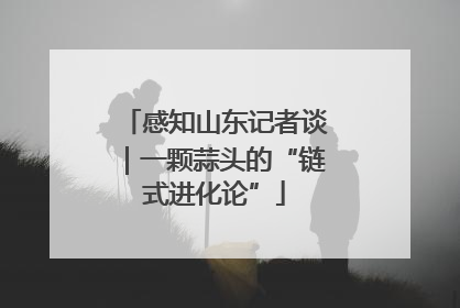 感知山东记者谈｜一颗蒜头的“链式进化论”