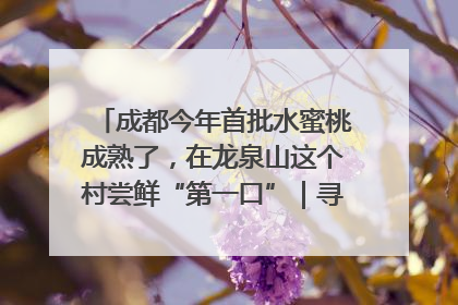 成都今年首批水蜜桃成熟了，在龙泉山这个村尝鲜“第一口”｜寻找和美乡村推荐官