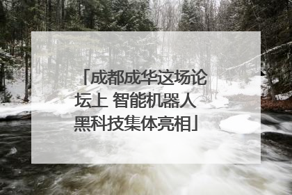 成都成华这场论坛上 智能机器人黑科技集体亮相