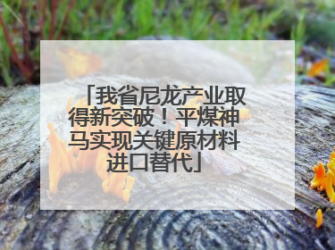 我省尼龙产业取得新突破！平煤神马实现关键原材料进口替代