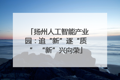 扬州人工智能产业园：追“新”逐“质” “新”兴向荣