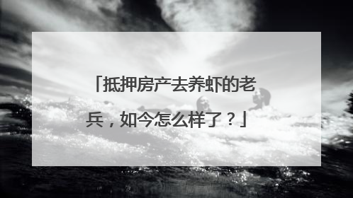 抵押房产去养虾的老兵，如今怎么样了？
