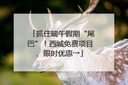 抓住端午假期“尾巴”！西城免费项目、限时优惠→