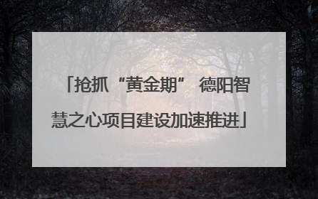 抢抓“黄金期” 德阳智慧之心项目建设加速推进
