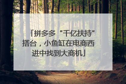 拼多多“千亿扶持”搭台，小鱼缸在电商西进中找到大商机