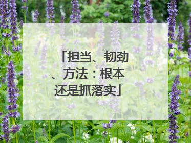 担当、韧劲、方法：根本还是抓落实