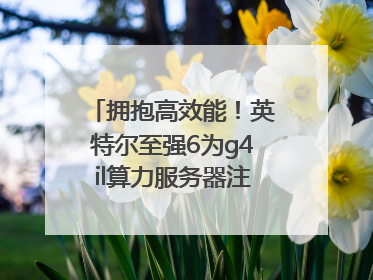 拥抱高效能！英特尔至强6为g4il算力服务器注入强大动力