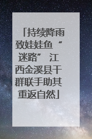 持续降雨致娃娃鱼“迷路” 江西金溪县干群联手助其重返自然