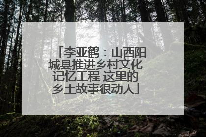李亚鹤：山西阳城县推进乡村文化记忆工程 这里的乡土故事很动人