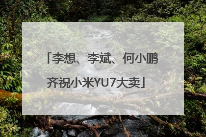 李想、李斌、何小鹏齐祝小米YU7大卖