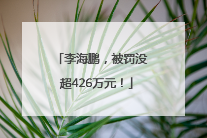 李海鹏，被罚没超426万元！
