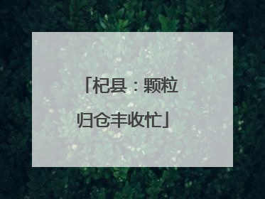 杞县：颗粒归仓丰收忙