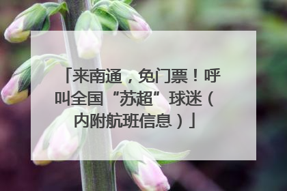 来南通，免门票！呼叫全国“苏超”球迷（内附航班信息）