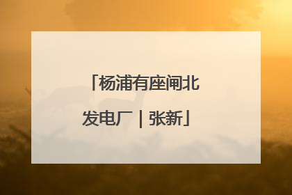 杨浦有座闸北发电厂｜张新