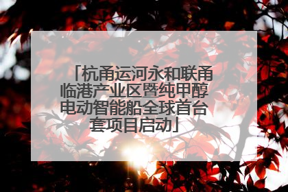 杭甬运河永和联甬临港产业区暨纯甲醇电动智能船全球首台套项目启动