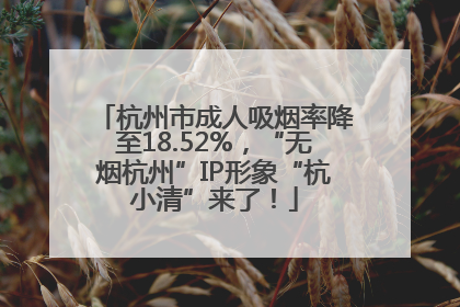杭州市成人吸烟率降至18.52%，“无烟杭州”IP形象“杭小清”来了！