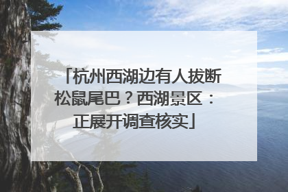 杭州西湖边有人拔断松鼠尾巴？西湖景区：正展开调查核实