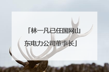 林一凡已任国网山东电力公司董事长