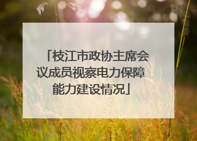 枝江市政协主席会议成员视察电力保障能力建设情况