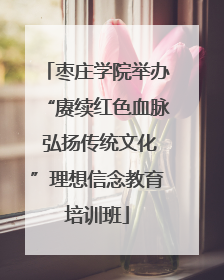 枣庄学院举办“赓续红色血脉 弘扬传统文化”理想信念教育培训班