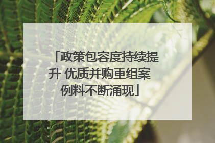 政策包容度持续提升 优质并购重组案例料不断涌现