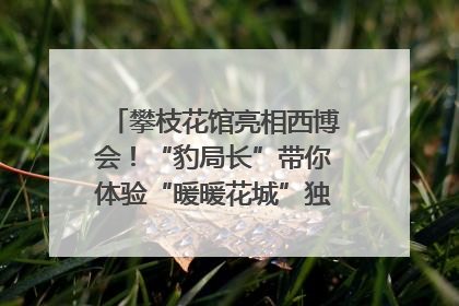 攀枝花馆亮相西博会！“豹局长”带你体验“暖暖花城”独特魅力｜西博视界
