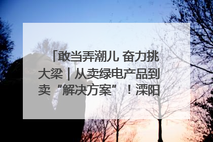 敢当弄潮儿 奋力挑大梁｜从卖绿电产品到卖“解决方案”！溧阳立足产业优势建成五大微电网示范项目