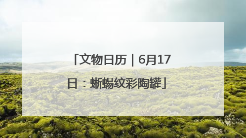 文物日历｜6月17日：蜥蜴纹彩陶罐