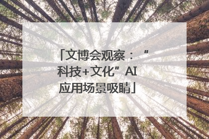 文博会观察：“科技+文化”AI应用场景吸睛