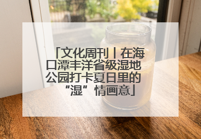 文化周刊丨在海口潭丰洋省级湿地公园打卡夏日里的“湿”情画意