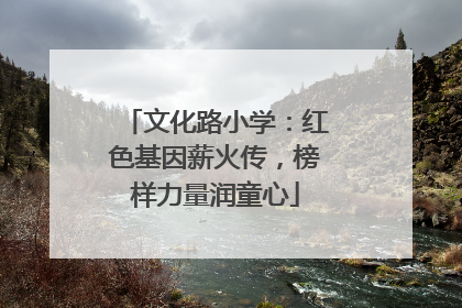 文化路小学：红色基因薪火传，榜样力量润童心