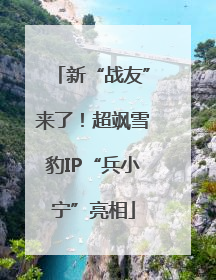 新“战友”来了！超飒雪豹IP“兵小宁”亮相