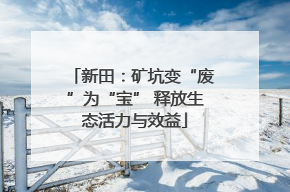 新田：矿坑变“废”为“宝” 释放生态活力与效益