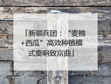 新疆兵团：“麦棉+西瓜”高效种植模式奏响致富曲