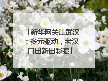 新华网关注武汉：多元驱动，老汉口出新出彩强