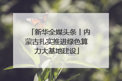 新华全媒头条丨内蒙古扎实推进绿色算力大基地建设