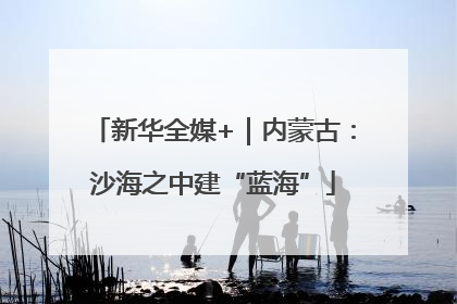 新华全媒+｜内蒙古：沙海之中建“蓝海”