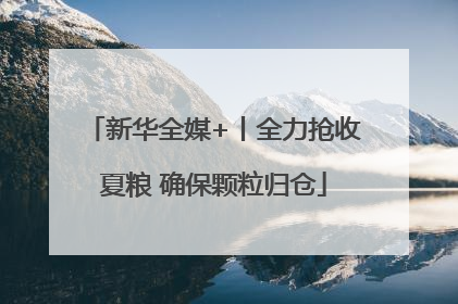 新华全媒+丨全力抢收夏粮 确保颗粒归仓