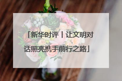 新华时评丨让文明对话照亮携手前行之路