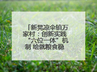 新晃凉伞镇万家村：创新实践“六位一体”机制 绘就粮食稳产增收新图景