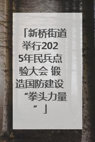 新桥街道举行2025年民兵点验大会 锻造国防建设“拳头力量”