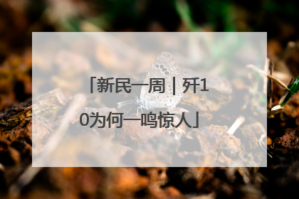 新民一周｜歼10为何一鸣惊人