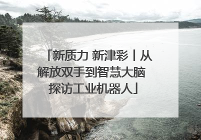 新质力 新津彩丨从解放双手到智慧大脑 探访工业机器人
