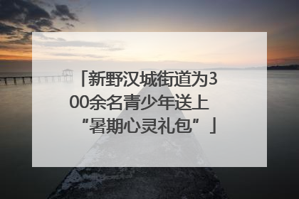 新野汉城街道为300余名青少年送上“暑期心灵礼包”