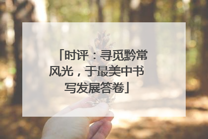 时评：寻觅黔常风光，于最美中书写发展答卷