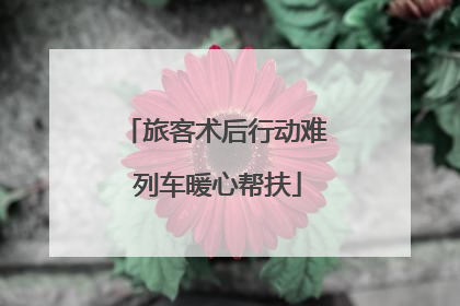 旅客术后行动难 列车暖心帮扶
